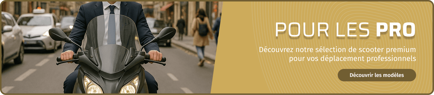 Bannière Pro