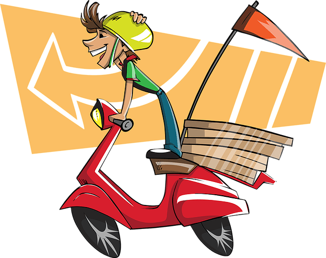 housse scooter