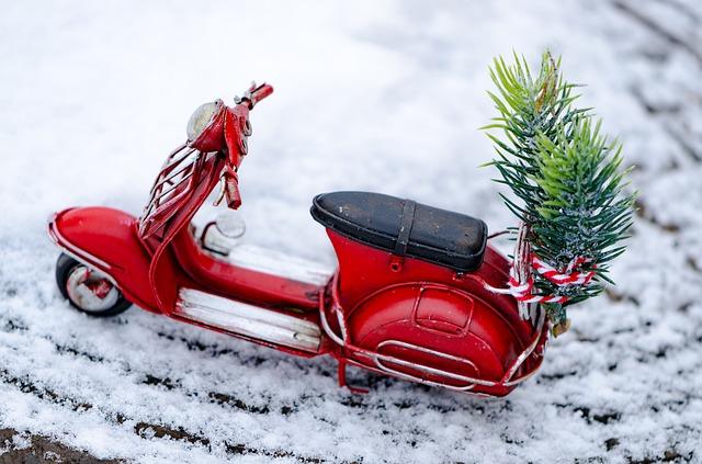 scooter hiver